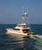 img/SB8hi-res/Shark Byte-21.jpg